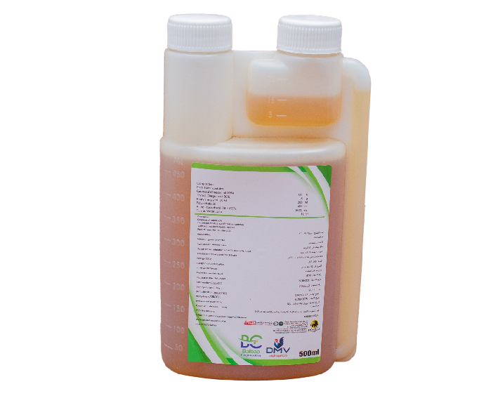 pngwing.com-10-2-2 (4) (1) (1) (9) (8) (1) (6) (8)